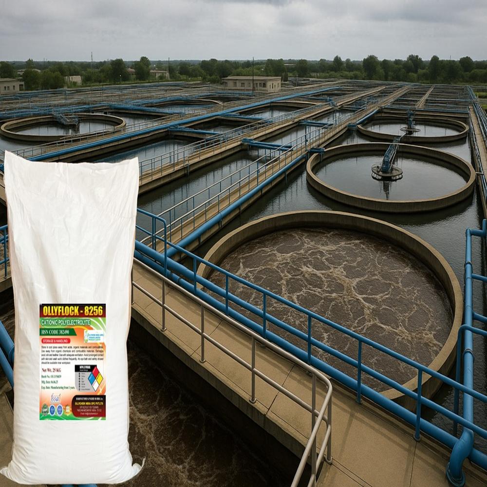 Polyelectrolyte Powder Anionic - Industrial Grade Powder Form | Easy Handling, Neutralizes Suspended Particle Charges, Dry Storage Required