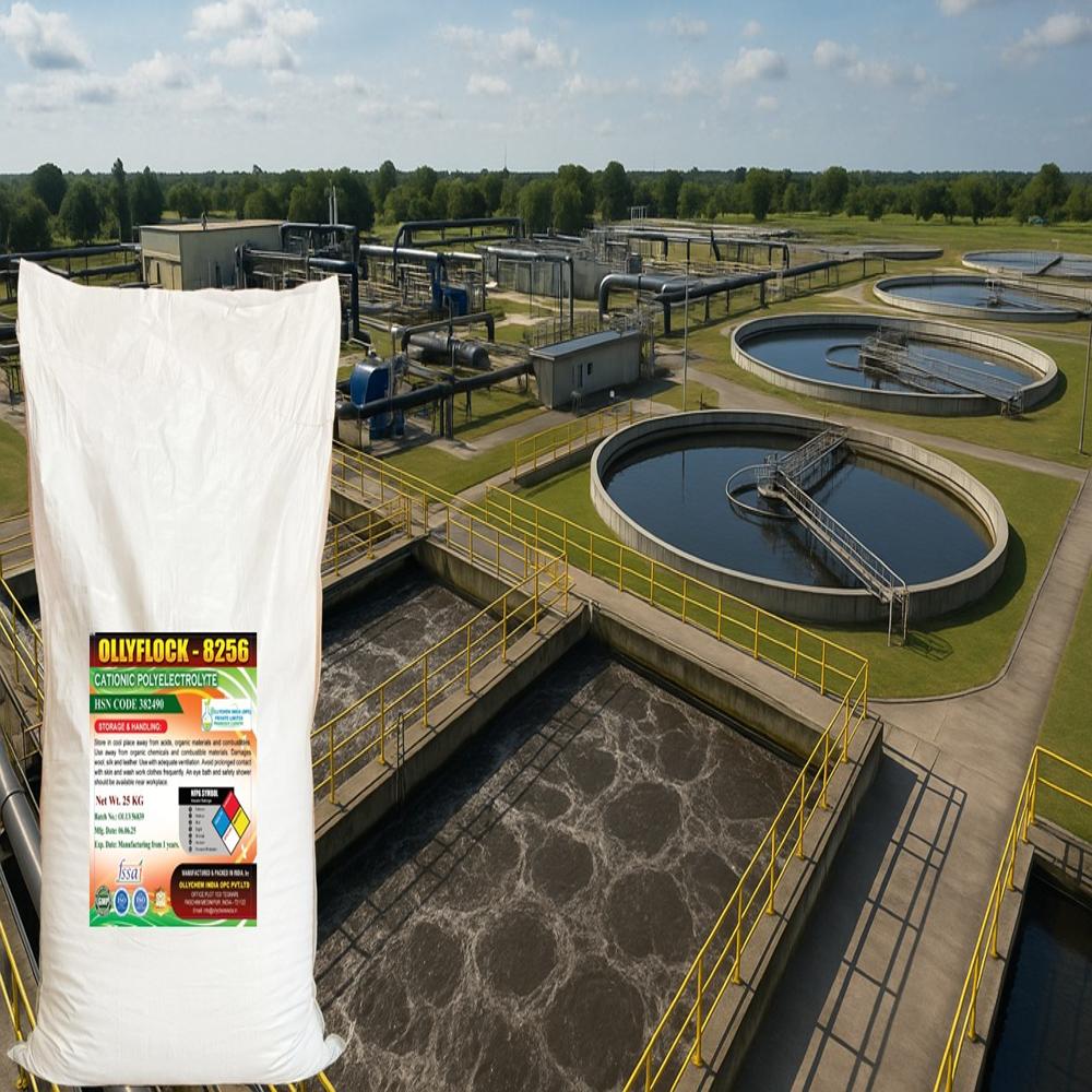 Polyelectrolyte Powder Anionic - Industrial Grade Powder Form | Easy Handling, Neutralizes Suspended Particle Charges, Dry Storage Required