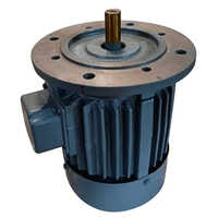 Three Phase Electric Induction Motor