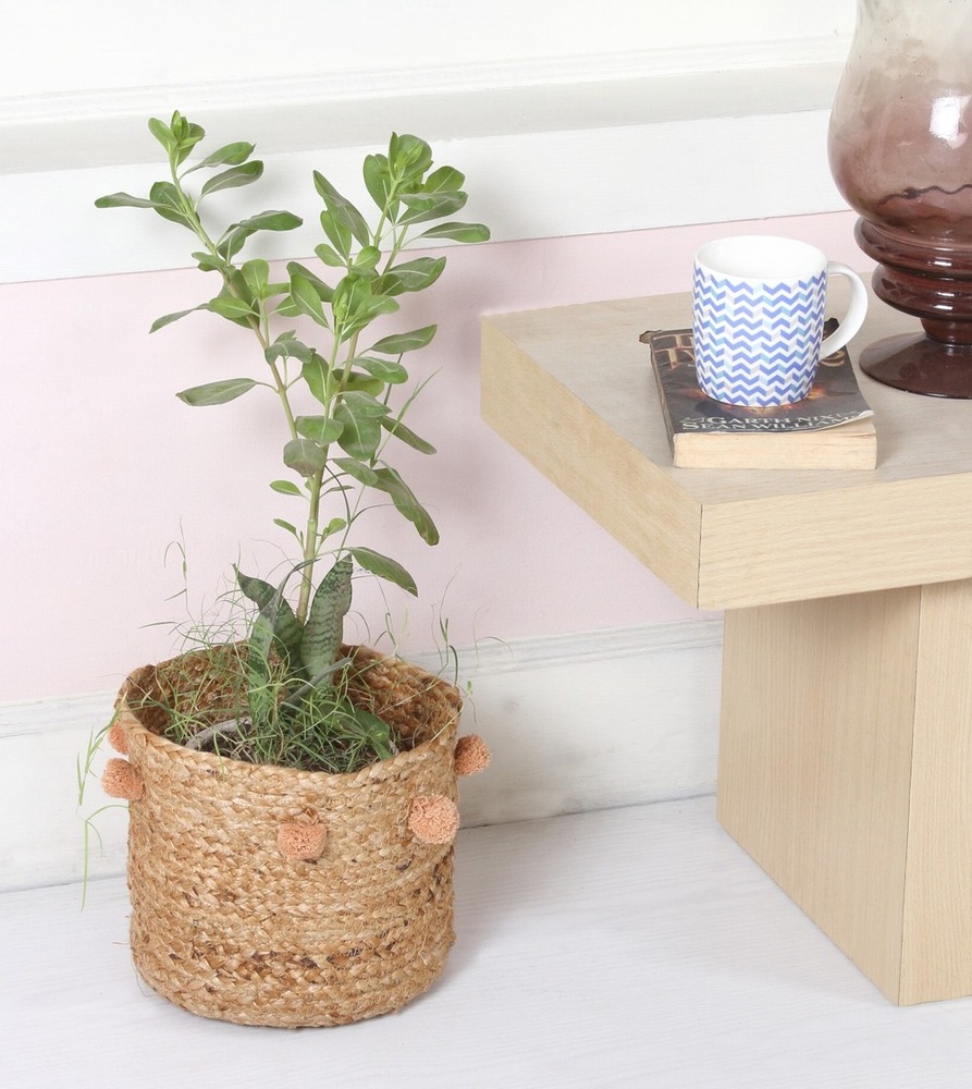 Round Planter - Basket Type: Decoration Basket