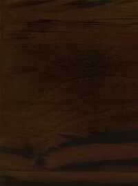 ROYALE TOUCHE LAMINATES HRD 458