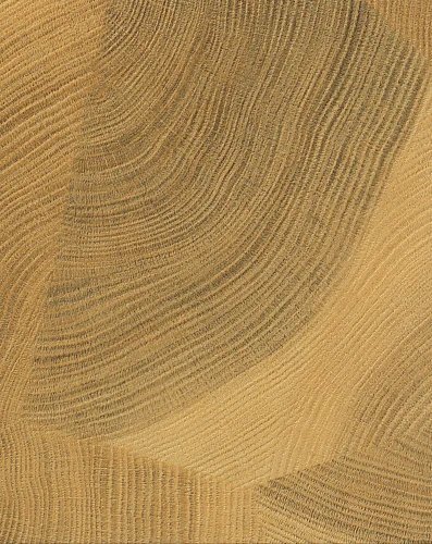 Royale touche laminate MS 956