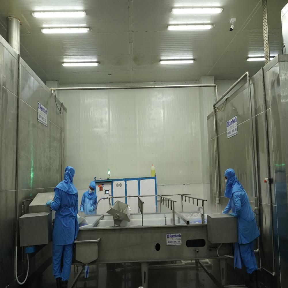 1000kg Per Hour Capacity IQF Individual Quick Freezer