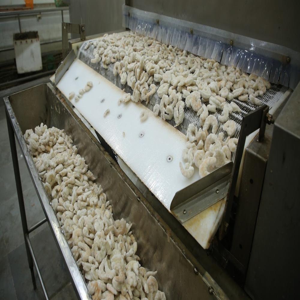 Shrimp Iqf Freezer - Capacity: 500 Kg