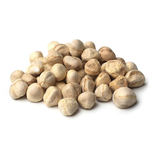 Moringa Kernel Seed - Color: Brown