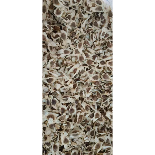Moringa Oil Seed - Color: Brown