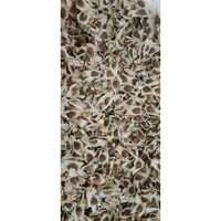 Moringa Oil Seed Drumstick Seed - Admixture (%): <0.1