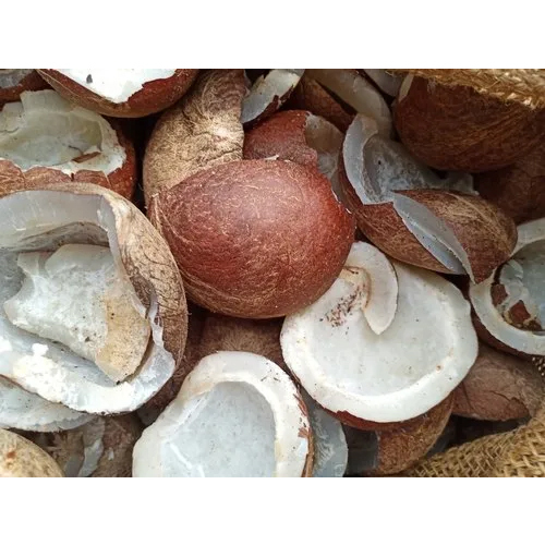 Dry Coconut Copra - Color: Brown