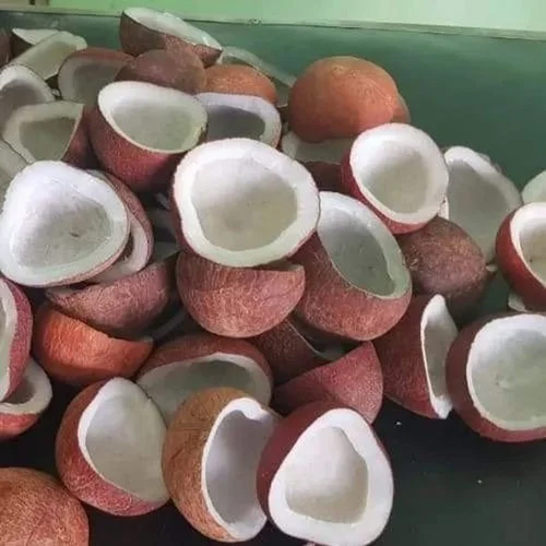 Edible Coconut Copra