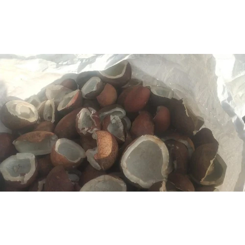 Organic Coconut Copra - Color: Brown