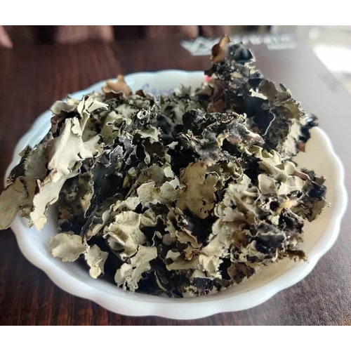 Black Stone Flower Kalpasi