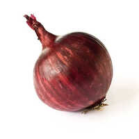 Fresh Red Onion