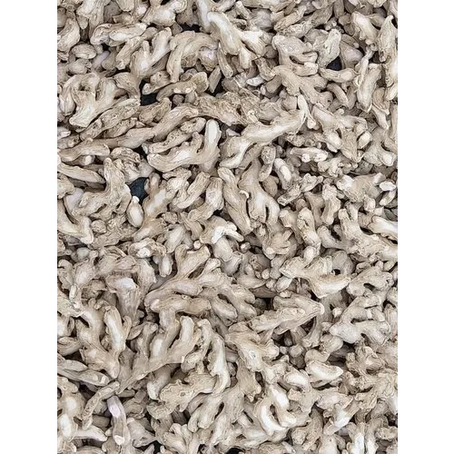Brown Dry Ginger - Flavor: Natural