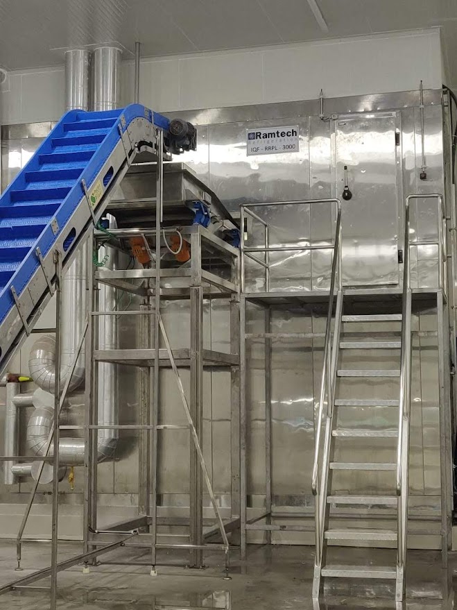 Fluidized Bed IQF Freezer for Fruits and Vegetables