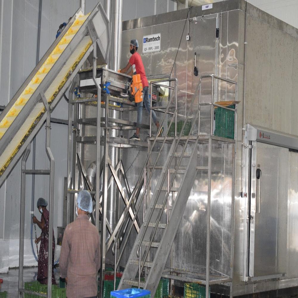 Fluidized Bed IQF Freezer for Fruits and Vegetables