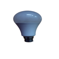 15W ECOBEAM LED BULB