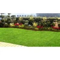 Terrace Garden Waterproofing