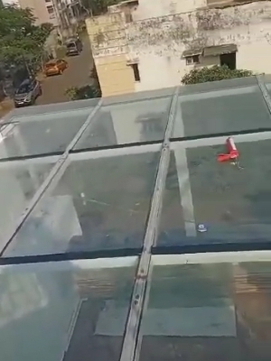 Glass shed