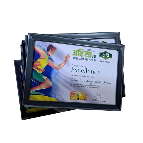 Synthetic Certificate Frames - Color: Customized