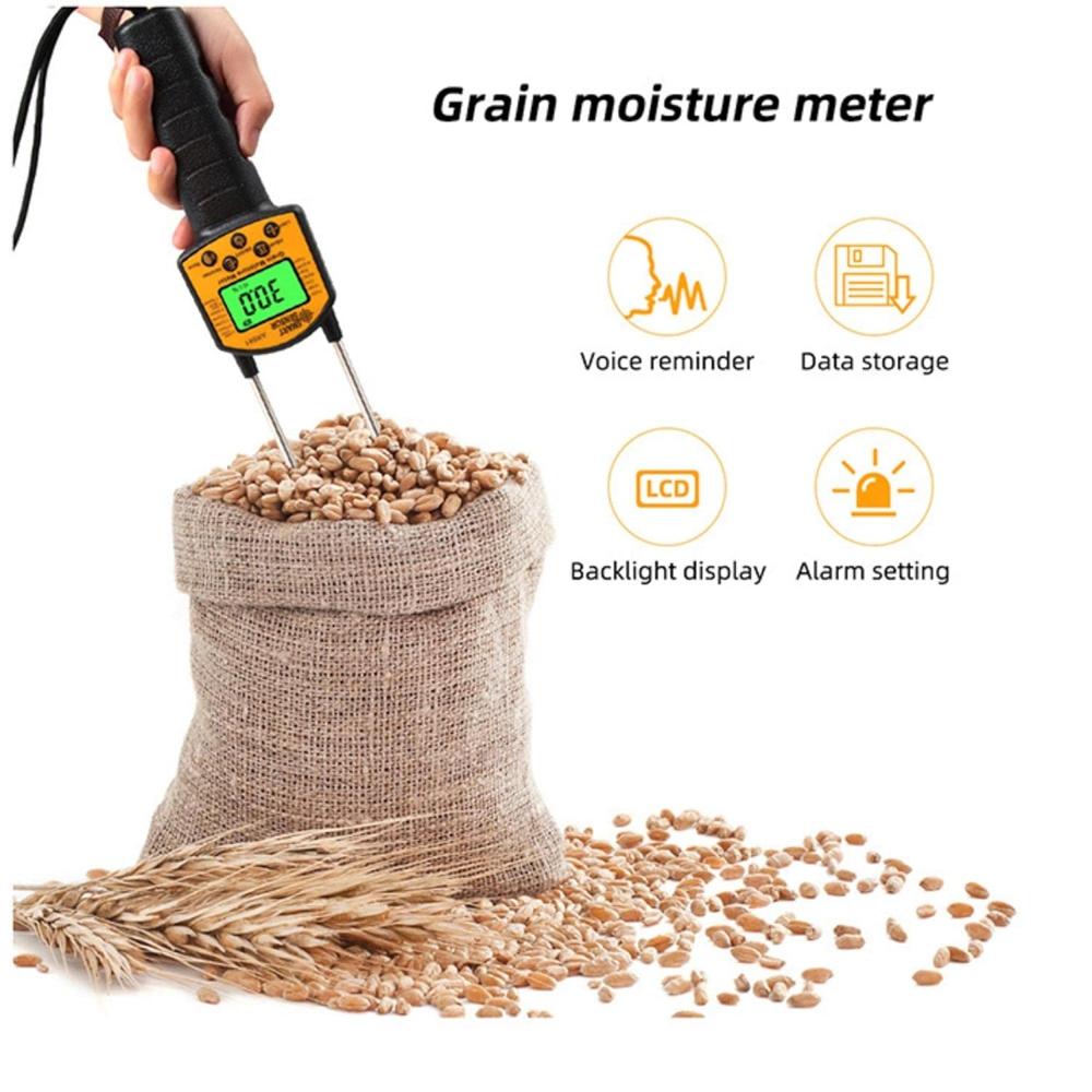 Ar991 Food Grain Digital Moisture Meter - Accuracy: 100 %