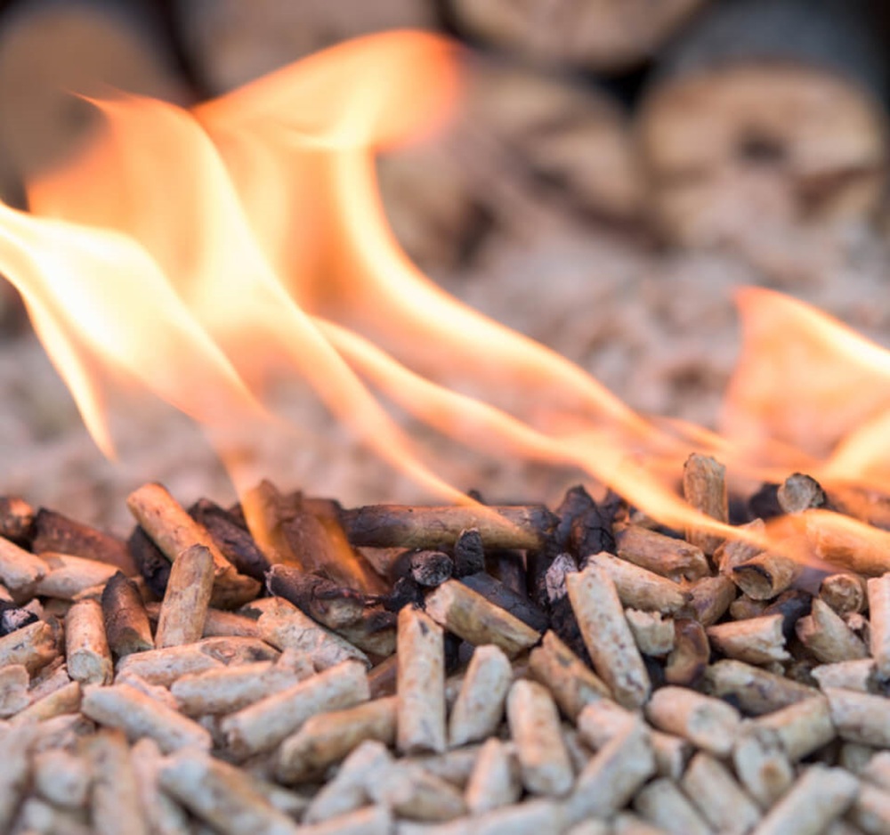 Bio Coal Briquettes