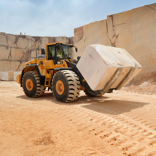 L220h Wheel Loader - Color: Black & Yellow