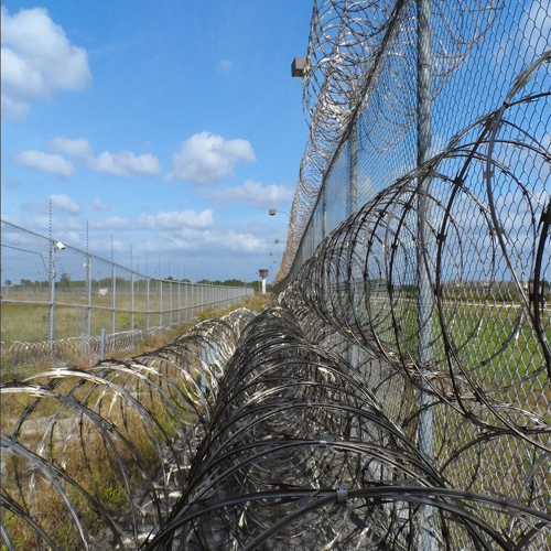 Concertina Razor Wire - Color: Customised