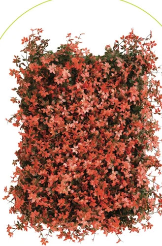 PVC Artificial Vertical Garden