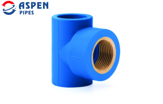 Pprc Blueflo Tee - Color: Blue