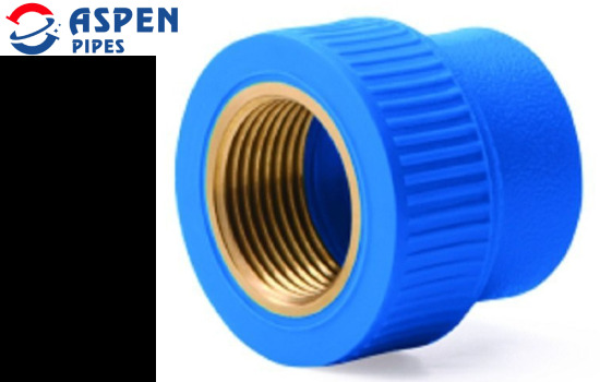 PPRC Blueflo Female Threaded Adapter