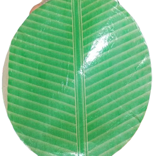 Green Disposal Paper Plate