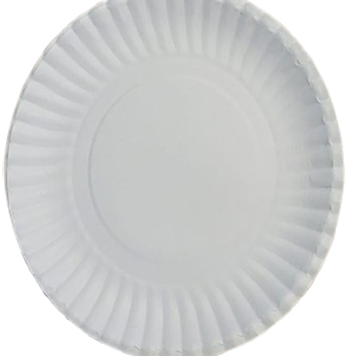 White Disposal Paper Plate