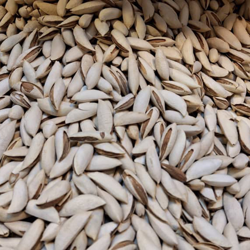 Raw Pine Nuts - Grade: Food Grade