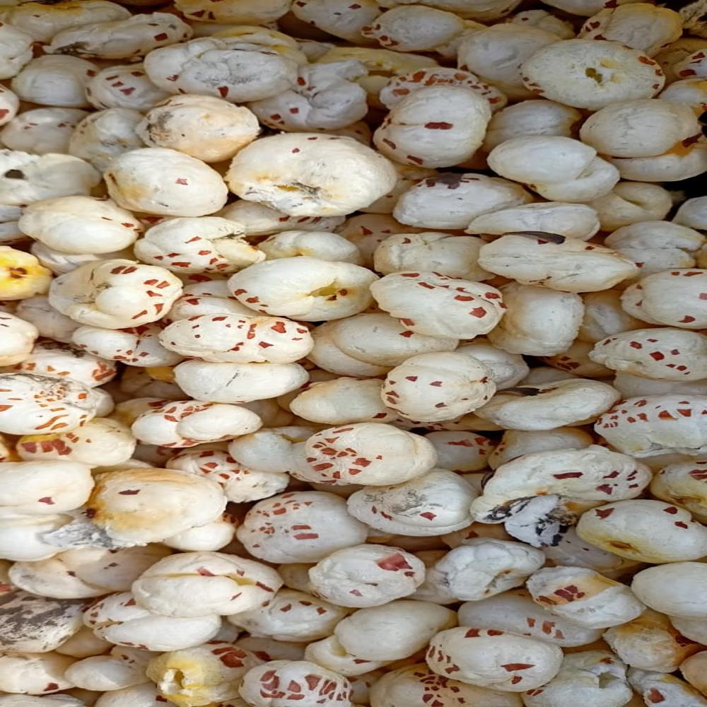 Makhana - Fox Nut - Color: White