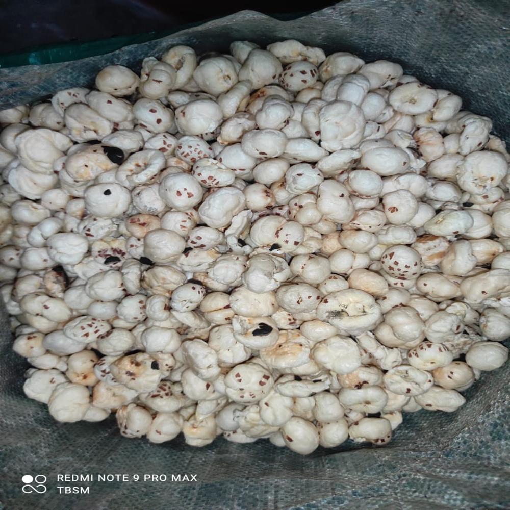 Makhana - Fox Nut