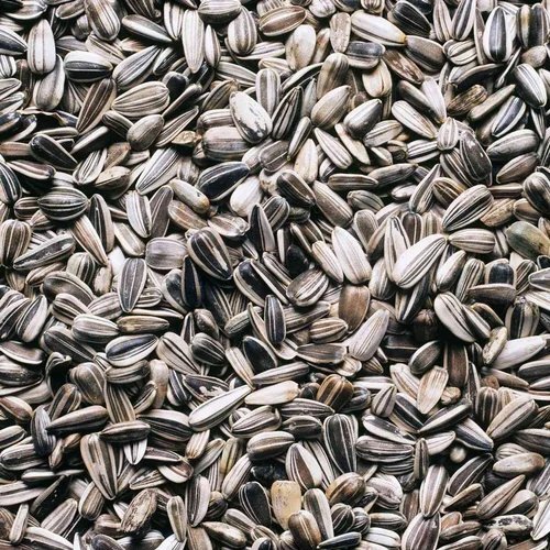 Natural Sunflower Seeds - Color: Black