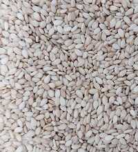 Natural White Sesame Seed