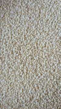 White Sesame Seeds