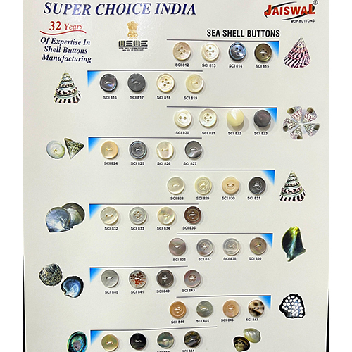 Sea Shell Buttons - Color: Multi Color