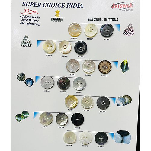 Sea Shell Buttons