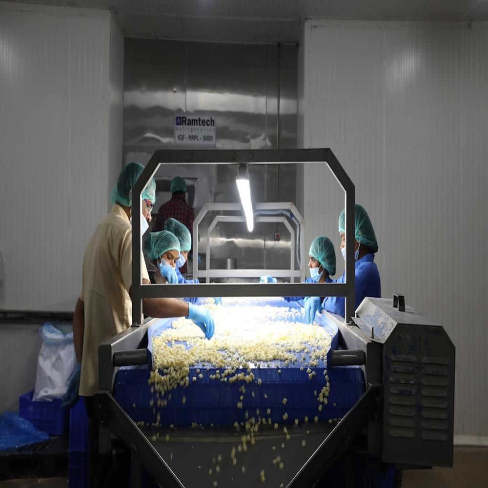 Green Peas Iqf - Capacity: 500 Kg
