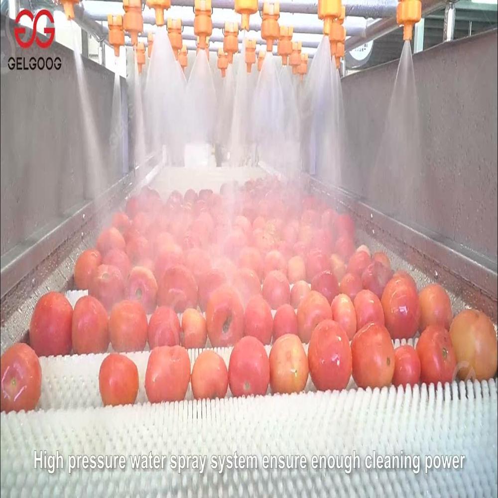 Tomato Washing Machine - Color: Silver