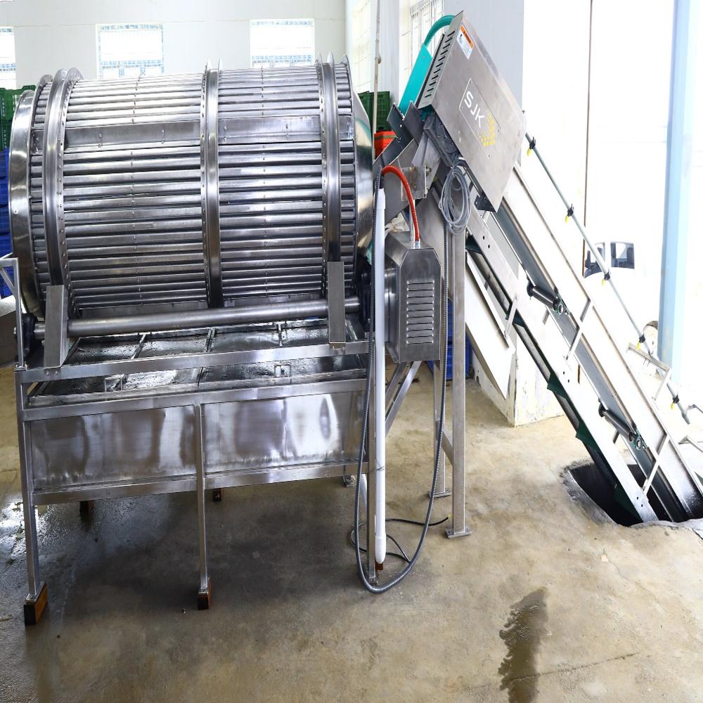 rotary washer machine