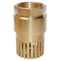 Brass Foot Valve - Application: Industrial