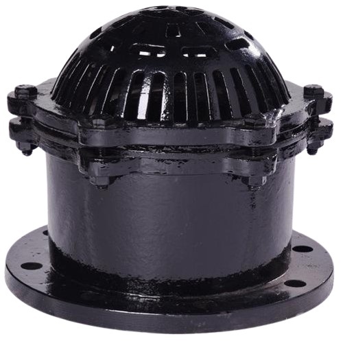 CI Foot Valve