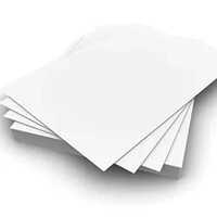 Pe Poly Coated Paper Sheet - Color: White