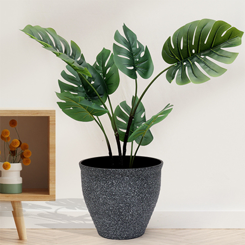 Sg-Tgby-90 Artificial Monstera Plant - Breed: Hybrid Cultivar