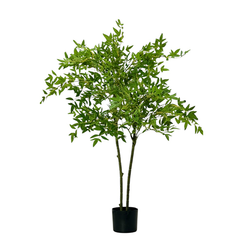 Sg-Tntz-120 Artificial Polyscias Fraticosa Plant - Breed: Hybrid Cultivar