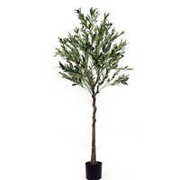 Artificial Olea Olive Tree Plant - Breed: Hybrid Cultivar