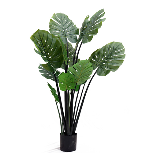 Sg-Tgby-140 Artificial Monster Plant - Breed: Hybrid Cultivar